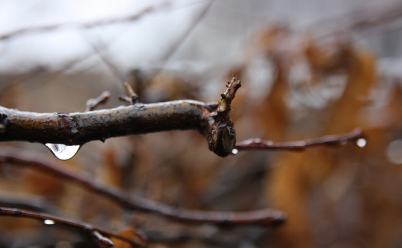 Solving the Differential Equation of a Falling Raindrop